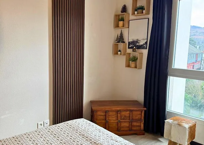 Apartament Le Montagnard - Wifi - Clim - Chaleureux Lourdes